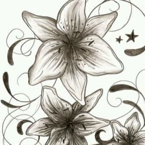 Meet your Posher, Aliyah